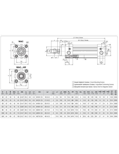 Dönmez Rotlu  Dönmez Rotlu