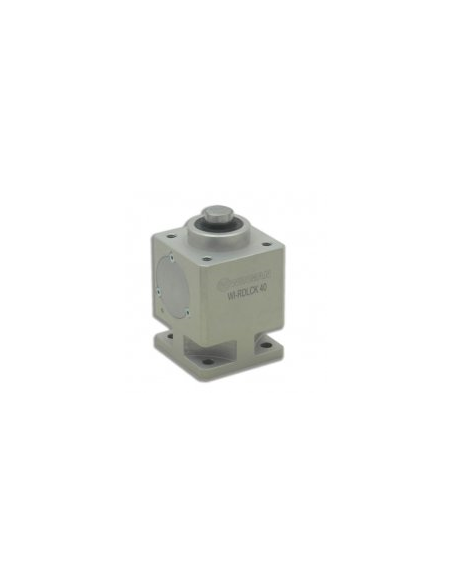 WI.RDLCK.100 Pnömatik Silindir (Piston) Mil Kilidi