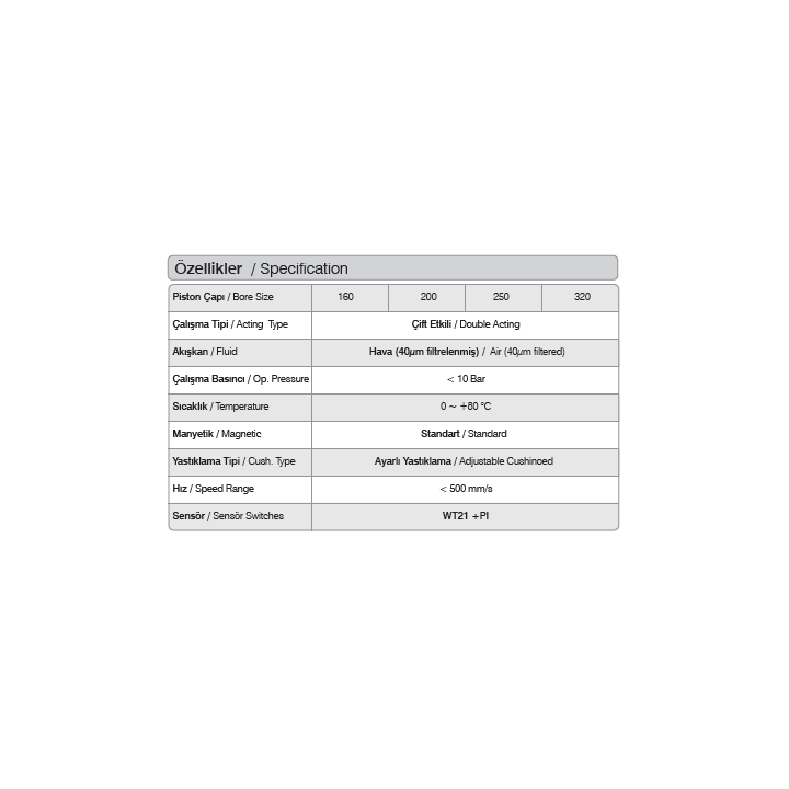 200.500.M.YY  WQGB ISO 15552 Pnömatik Silindir (Piston)