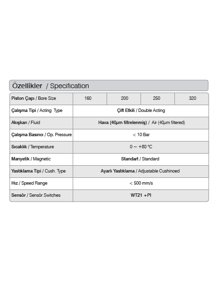 320.100.M.YY WQGB ISO 15552 Pnömatik Silindir (Piston)