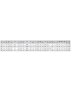 320.200.M.YY WQGB ISO 15552 Pnömatik Silindir (Piston)