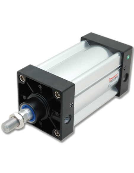 WSI.M.YY.100.50 ISO 15552 Alüminyum Gövdeli Pnömatik Silindir