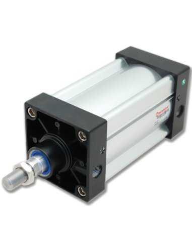 WSI.M.YY.80.250 ISO 15552 Alüminyum Gövdeli Pnömatik Silindir