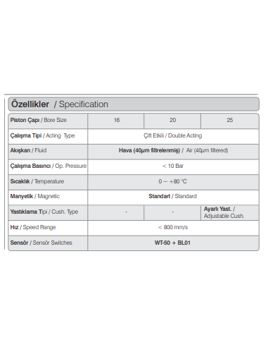 WSXC.16.10 ISO 6432 Komple Paslanmaz...