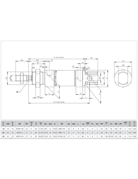 WSXC.16.100 ISO 6432 Komple Paslanmaz Pnömatik Silindir (Piston)