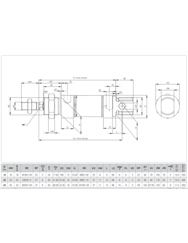 WSXC.25.125 ISO 6432 Komple Paslanmaz...