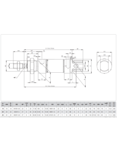 WSXC.25.160 ISO 6432 Komple Paslanmaz Pnömatik Silindir (Piston)