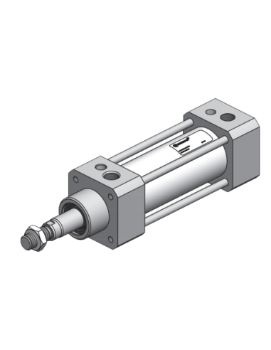 WXC.32.100 ISO 15552 Komple Paslanmaz Pnömatik Silindir (Piston)