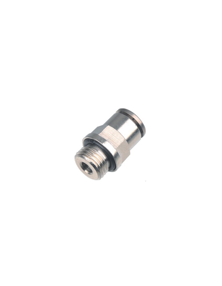 WPCT10-G04