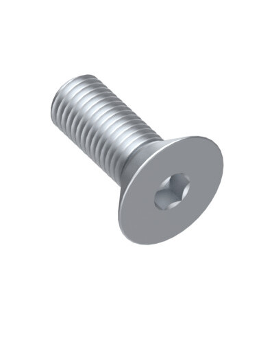 m5x10  Havşabaş Cıvata