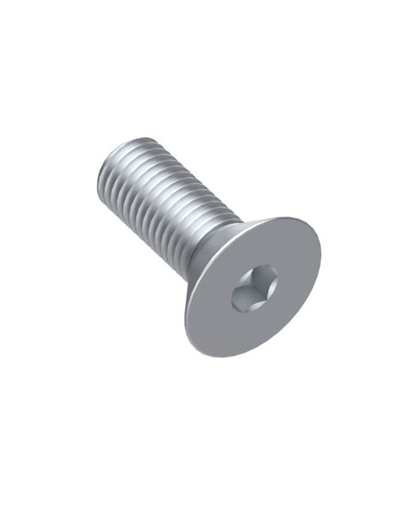 m5x10  Havşabaş Cıvata