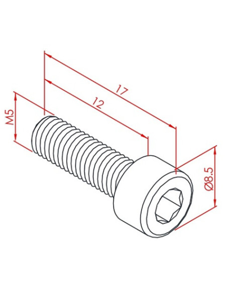 m5x12 İmbus Cıvata
