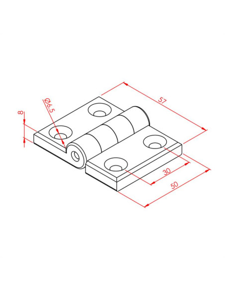 45x30 Plastik Menteşe