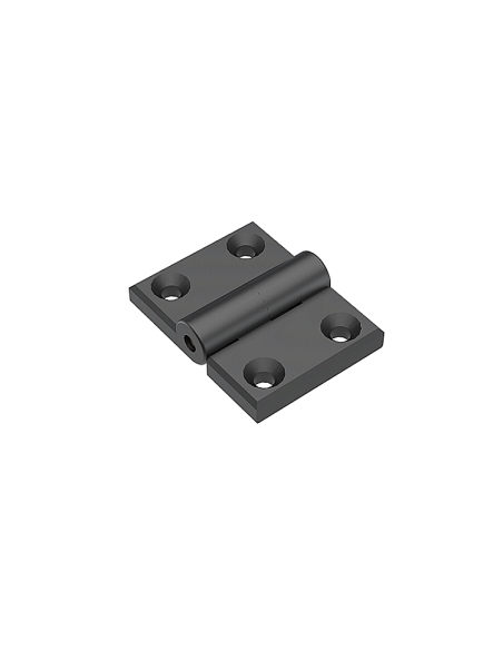 45x30 Plastik Menteşe