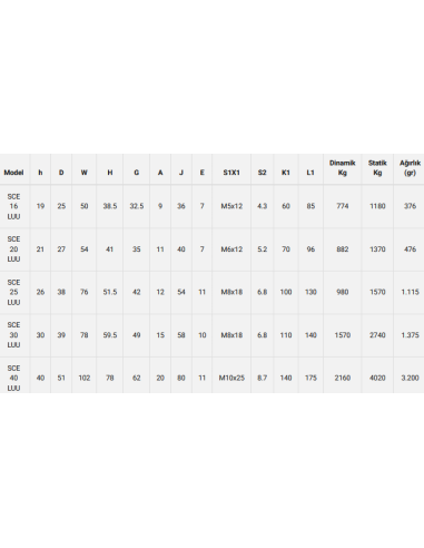 Kafesli Rulman Kapalı - Uzun Tip SCE...